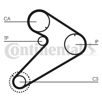 Timing Belt