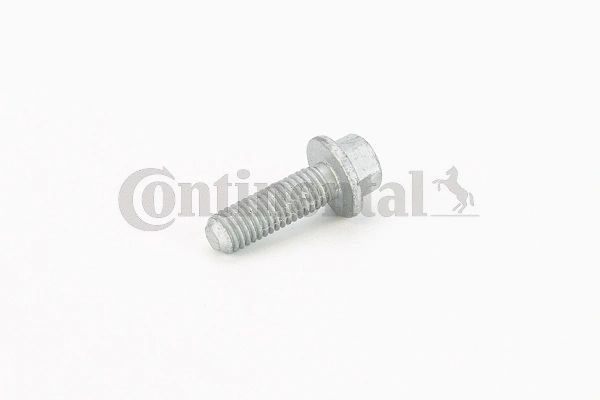 Screw (V41238)