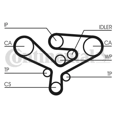 Timing Belt