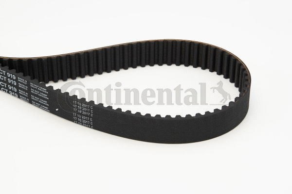 Timing Belt