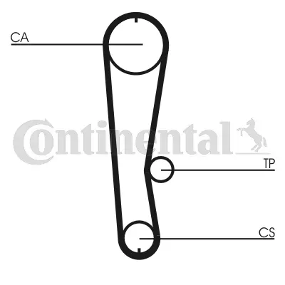 Timing Belt