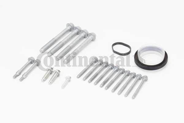 Screw Kit, timing case (MS54)