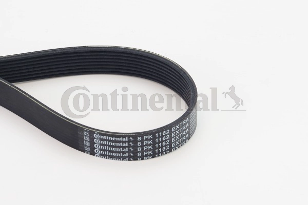 V-Ribbed Belt (8PK1162 EXTRA)