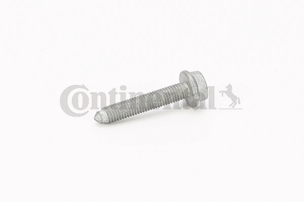 Screw (V41092)