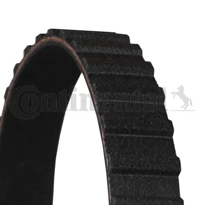 Timing Belt