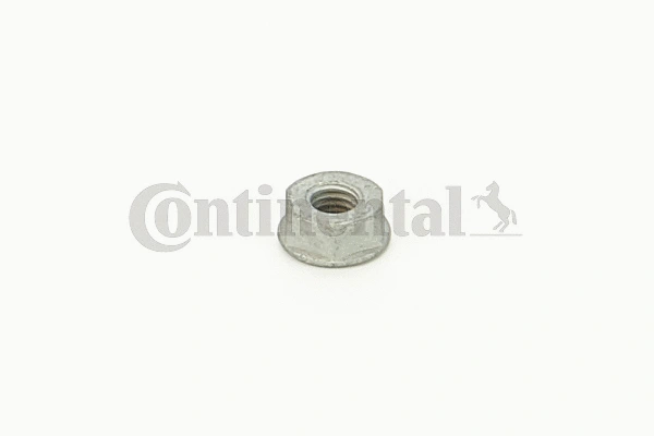 Nut (V31183)
