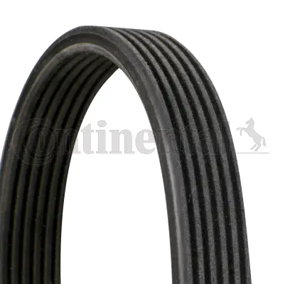 V-Ribbed Belt (6DPK1195)