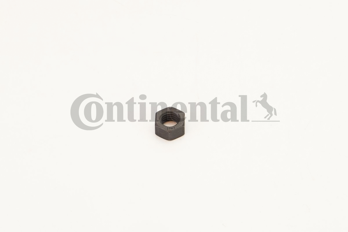 Nut (V31214)