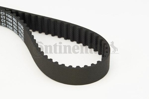 Timing Belt