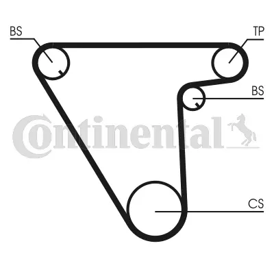 Timing Belt