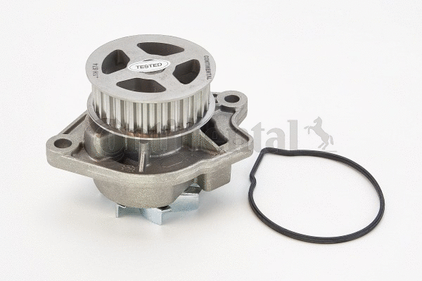 Water Pump, engine cooling (WP6004)