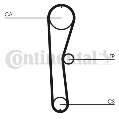 Timing Belt Kit