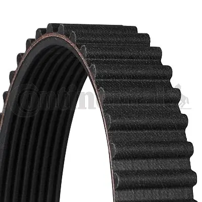 Timing Belt