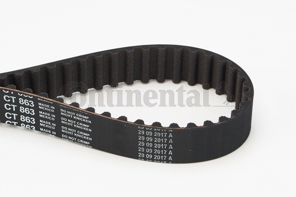 Timing Belt