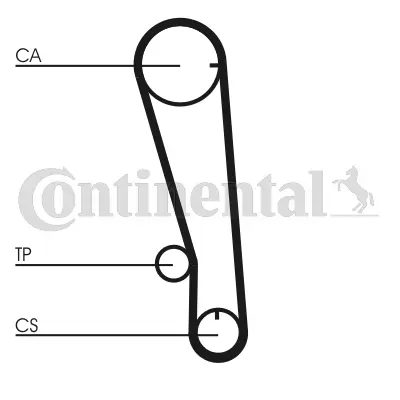 Timing Belt