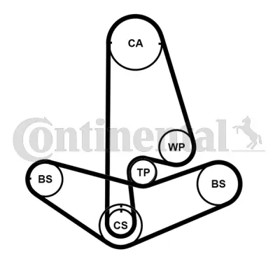 Water Pump & Timing Belt Kit