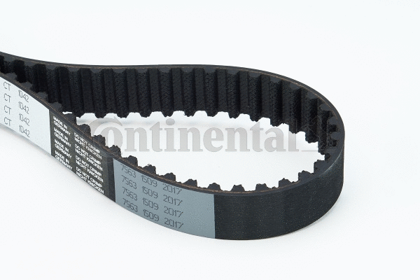 Timing Belt