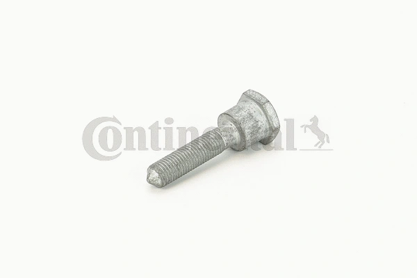 Screw (V41140)