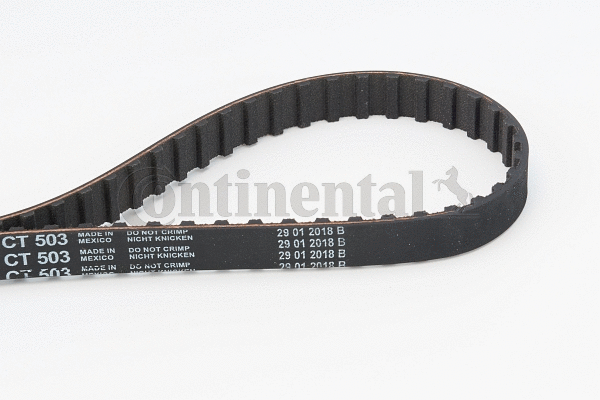 Timing Belt