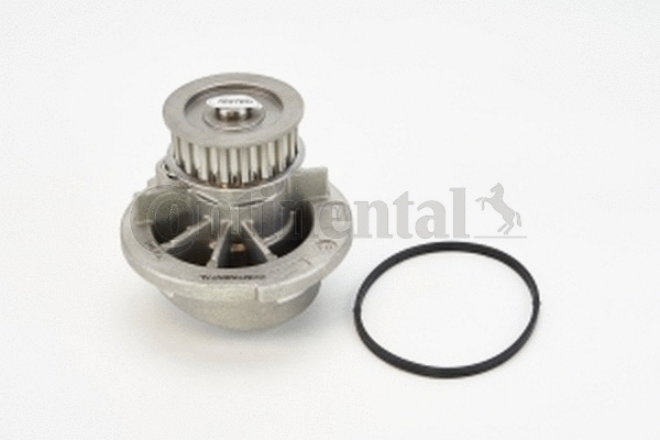 Water Pump, engine cooling (WP6043)