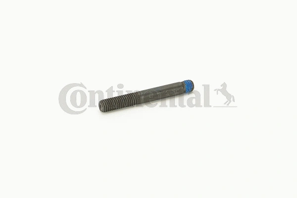 Screw (V41151)