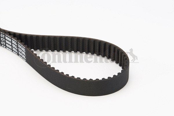 Timing Belt