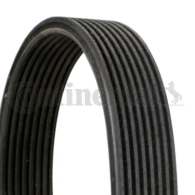 V-Ribbed Belt (8DPK1833)