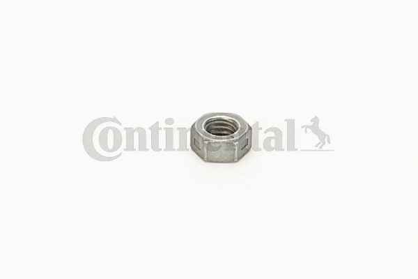 Nut (V31213)