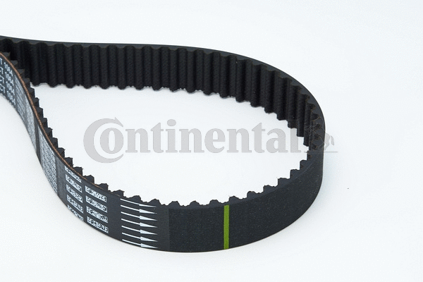 Timing Belt