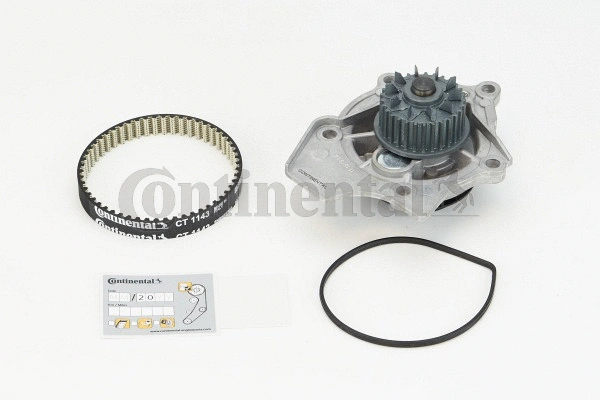 Water Pump & Timing Belt Kit