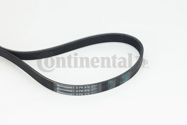V-Ribbed Belt (6PK976)