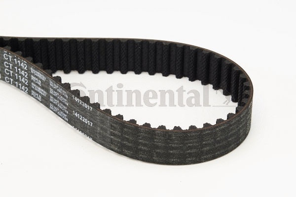 Timing Belt