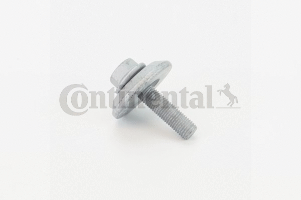 Screw (V49043)
