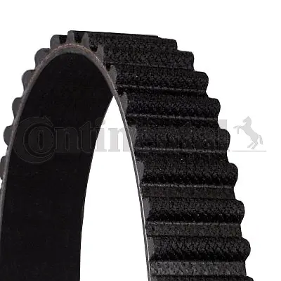Timing Belt