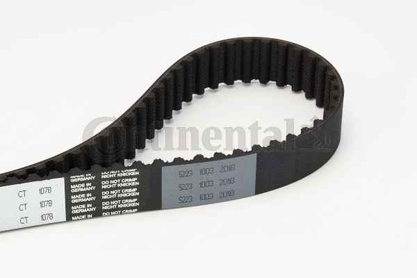 Timing Belt