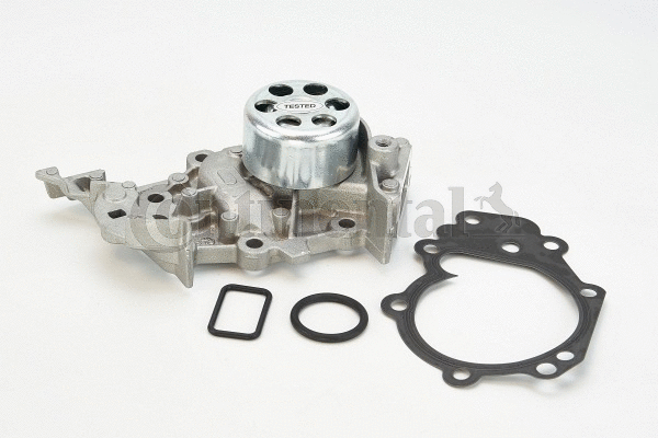 Water Pump, engine cooling (WP6081)