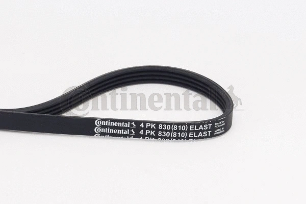 V-Ribbed Belt (4PK830 ELAST)