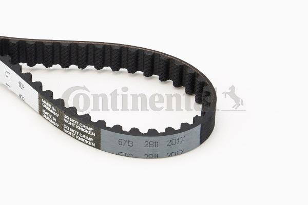 Timing Belt
