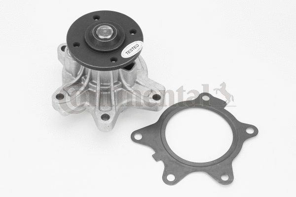 Water Pump, engine cooling (WPS3164)