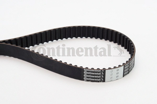 Timing Belt