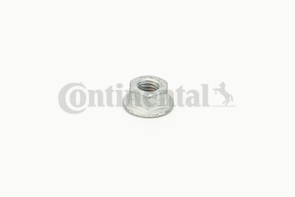 Nut (V31211)
