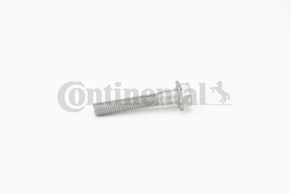 Screw (V41198)