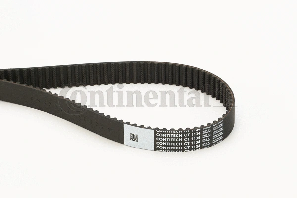 Timing Belt