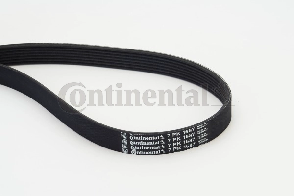 V-Ribbed Belt (7PK1687)