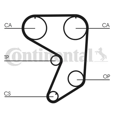 Timing Belt