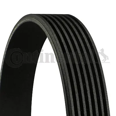 V-Ribbed Belt (7PK2875)