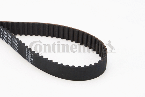 Timing Belt