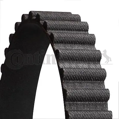Timing Belt