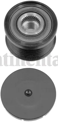 Alternator Freewheel Clutch (AP9021)