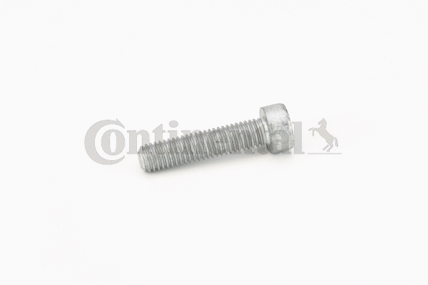 Screw (V41200)